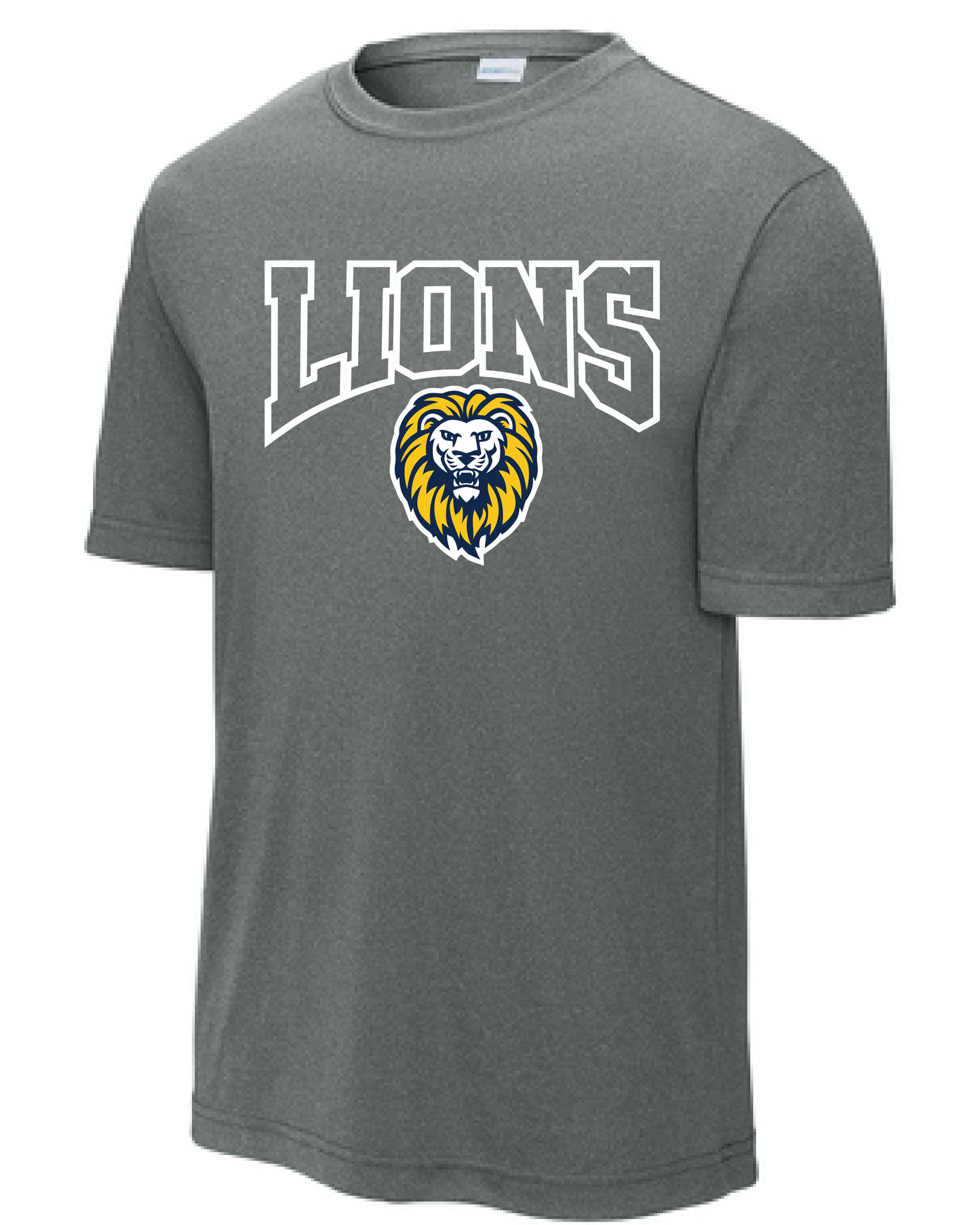 Iron Lions Dri-Fit T-Shirt