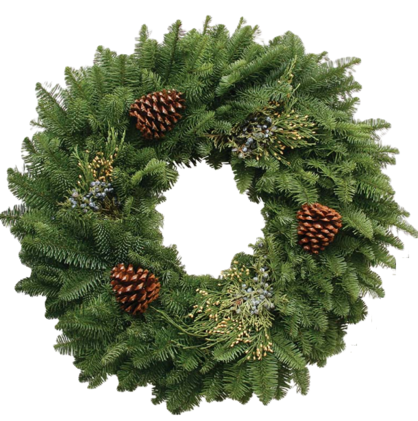 Poinsettias & Wreaths 2025